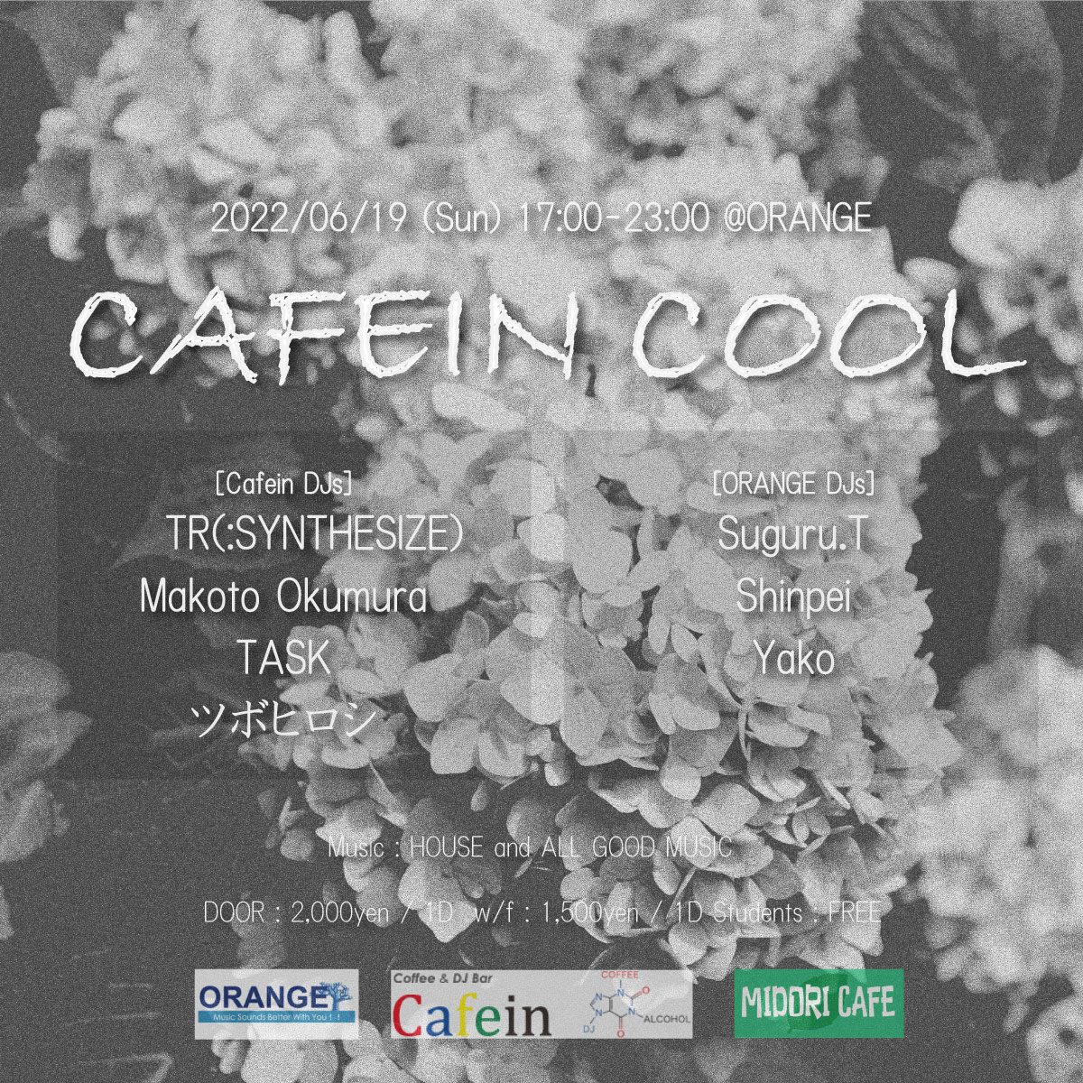 CAFEIN COOL