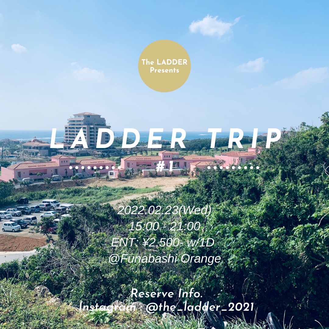 Ladder Trip